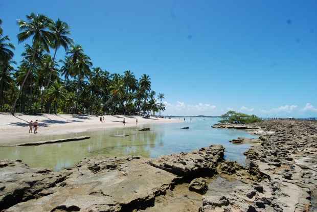 Praia dos Carneiros, em Tamadar&eacute;, Litoral Sul de Pernambuco, fica em 12&ordm; lugar na lista (Alexandre Gondim/DP/D. A Press)
