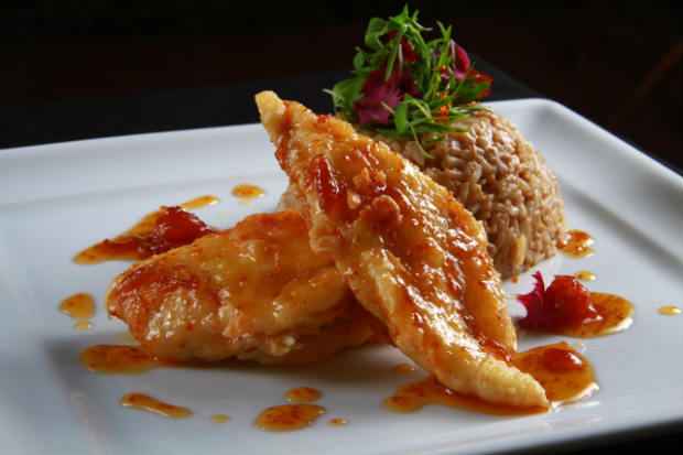 Tilápia crocante em salsa de aguaymanto com arroz shitake e filé grelhado sobre bolinho de macaxeira. Foto: 4Comunicação/Divulgação/Foto: 4Comunicação/Divulgação