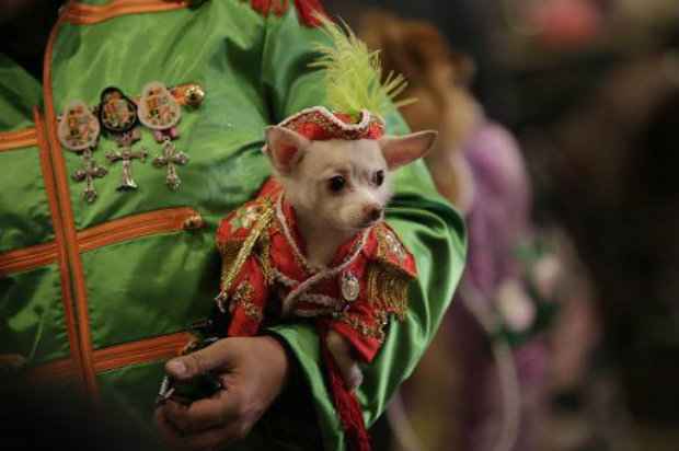 Foto: AFP/Joshua LOTT./