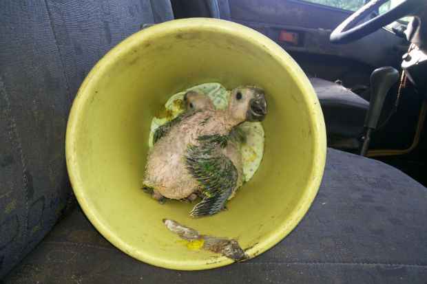 Foto: PRF/ Divulgação/