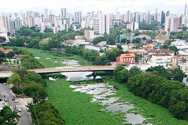 Vegeta&ccedil;&atilde;o modificou paisagem do rio neste s&aacute;bado. Foto: Vera Ogando/DP/D.A Press/
