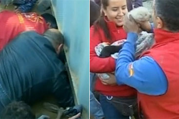 O corpo de bombeiros foi responsável pelo resgate dos animais. Foto: Telemundo/Reprodução() O corpo de bombeiros foi responsável pelo resgate dos animais. Foto: Telemundo/Reprodução/