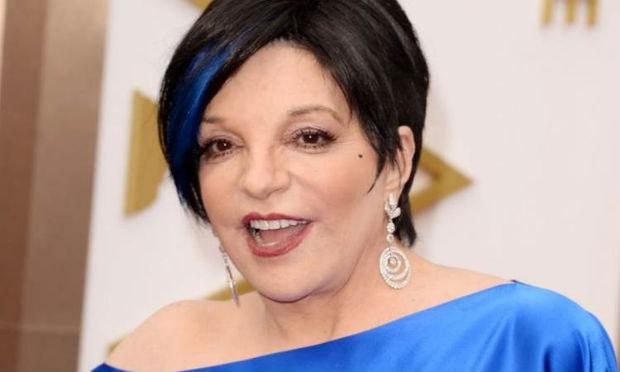 Liza recusou participar do programa "Celebrity Rehab", em 2010. Crédito: Jason Merritt/AFP() Liza recusou participar do programa "Celebrity Rehab", em 2010. Crédito: Jason Merritt/AFP/