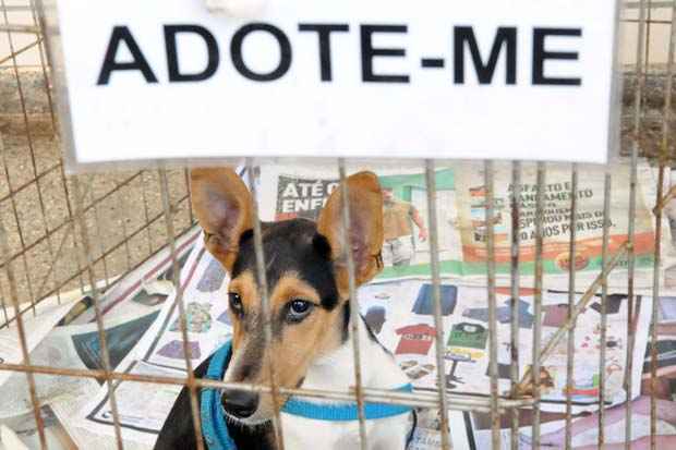 Evento no shopping RioMar segue neste domingo até às 17h. Foto: CB/D.A Press/Arquivo() Evento no shopping RioMar segue neste domingo até às 17h. Foto: CB/D.A Press/Arquivo/