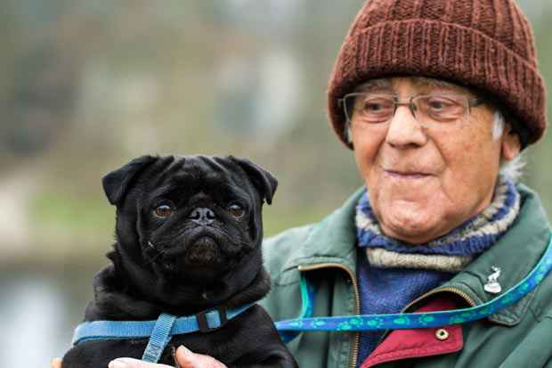 Foi a primeira vez que uma pesquisa comprovou que cães podem discriminar expressões emocionais exibidas por outra espécie. Foto: Martin Cooper/Flickr() Foi a primeira vez que uma pesquisa comprovou que cães podem discriminar expressões emocionais exibidas por outra espécie. Foto: Martin Cooper/Flickr/