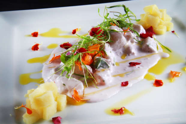 Cebiche de Pescado e Pulpo em Crema de Oliva Roja é opção para quem for almoçar no Chicama, que agora abre nas sextas-feiras. Foto: 4Comunicação/ Divulgação