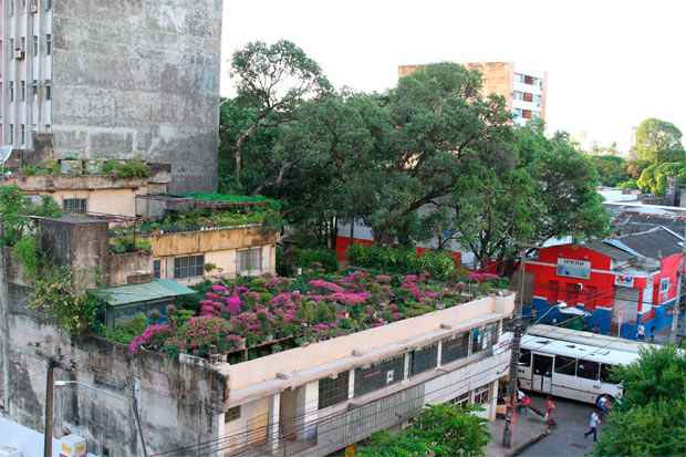 Sancionada em abril, a "lei do telhado verde" também contempla a construção de reservatórios de acúmulo ou retardo de escoamento das águas da chuva. Foto: Paulo Paiva/DP/D.A Press