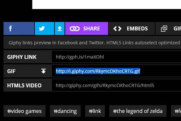 Apenas o link com a extensão .gif no fim irá funcionar na rede social.