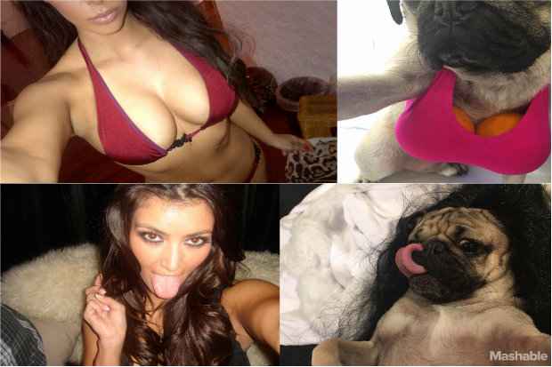 As poses foram inspiradas nas selfies do livro " Selfish", da socialite Kim Kadarshian. Foto: Reprodução/Mashable