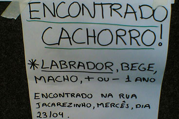 Cartazes comunicam o desaparecimento (e o aparecimento) do pet. Foto: Flickr/Reprodução