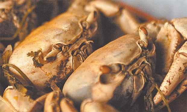 Felipe Castro/EspAqui PE/D.A.Press/