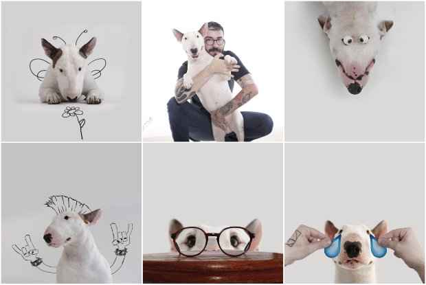 Jimmy é colocado em situações inusitadas, com objetos e desenhos. Fotos: Rafael Mantesso/Divulgação