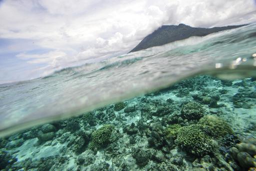 Um recife de corais é visto na ilha Bunaken, Indonésia. Foto: Romeo Gacad/AFP/