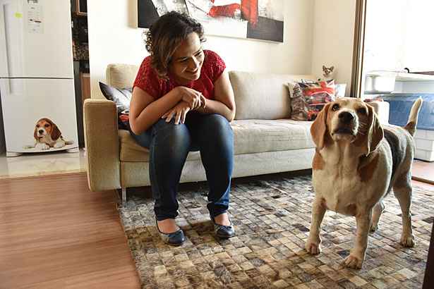 Jack chegou a pesar 34 quilos. A dona, Letícia, ficou preocupada quando percebeu que ele estava mancando. Foto: Zuleika de Souza/CB/D.A Press/ Jack chegou a pesar 34 quilos. A dona, Letícia, ficou preocupada quando percebeu que ele estava mancando. Foto: Zuleika de Souza/CB/D.A Press/