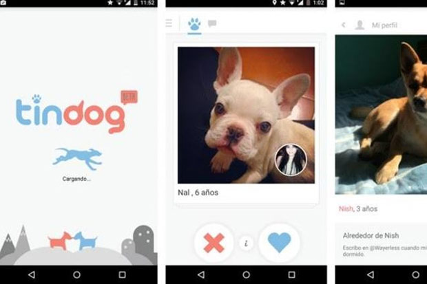 Aplicativo é compatível com Android e iOS. Foto: Divulgação/