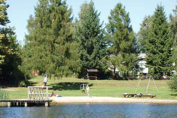 Dinheiro foi encontrado entre os galhos de uma &aacute;rvore em acampamento na cidade de Mirow. Foto: PercyGermany/Flickr/Reprodu&ccedil;&atilde;o/