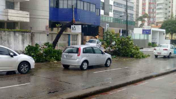 Foto: Robson Ferreira Silva/WhatsApp/Cortesia/ Foto: Robson Ferreira Silva/WhatsApp/Cortesia/