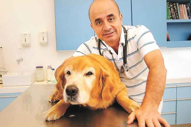 Veterinário José Geraldo Lasmar diz que o animal precisa ter um lugar que identifique como seu para sentir que ali é seu refúgio. Foto: Cristina Horta/EM/D.A Press/ Veterinário José Geraldo Lasmar diz que o animal precisa ter um lugar que identifique como seu para sentir que ali é seu refúgio. Foto: Cristina Horta/EM/D.A Press/