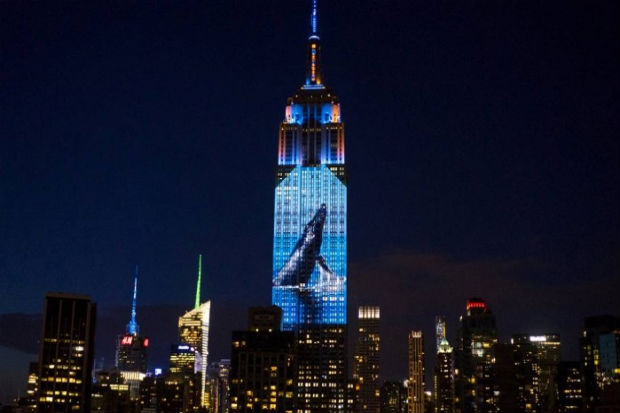 A ONG Oceanic Preservation Society (OPS) projetou no lado sul do edifício, com cerca de 40 projetores, imagens de espécies em risco. Foto: Reprodução/ Empire State Building/ A ONG Oceanic Preservation Society (OPS) projetou no lado sul do edifício, com cerca de 40 projetores, imagens de espécies em risco. Foto: Reprodução/ Empire State Building/