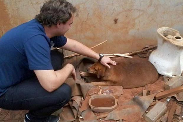 O cão vivia em condições inadequadas antes de ser resgatado. Foto: Arquivo Pessoal/Divulgação.
