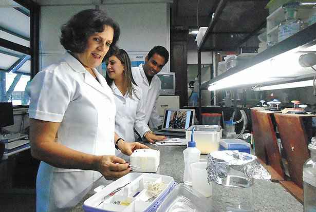 A pesquisadora Maria Elena Lima diz que a próxima etapa é fazer testes com humanos. (Foto: UFMG/Divulgação)/ A pesquisadora Maria Elena Lima diz que a próxima etapa é fazer testes com humanos. (Foto: UFMG/Divulgação)/