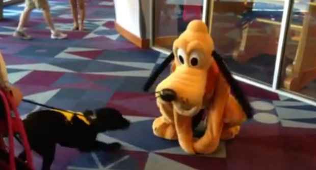 Parece que Higbee encontrou o maior ídolo na Disney. (Foto: Reprodução/Facebook)/