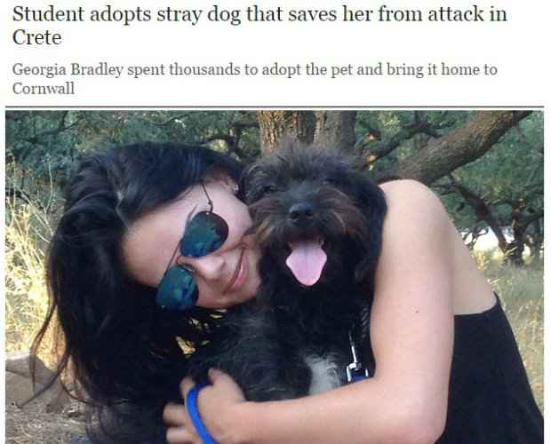 Georgia adotou Pepper após a cachorrinha salvá-la de ataque na Grécia. (Foto: Reprodução/telegraph.co.uk)/
