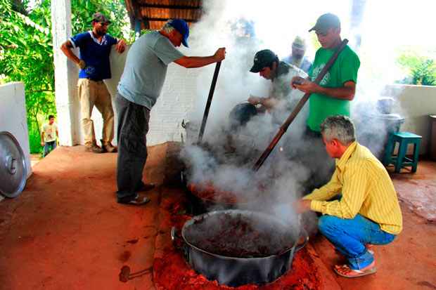 A ayahuasca é uma bebida amarronzada de aparência e textura licorosas, de sabor amargo. Deriva do cipó, de onde vêm os alcalóides, e de plantas como Psychotria viridis. Foto: Isaías Belo/ Cortesia