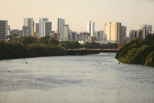 Emaranhado de raízes da vegetação do mangue, que vem recuperando as margens dos rios desde 1965, funciona como um filtro biológico. Foto: Hesíodo Góes/ DP/ D.A.Press 