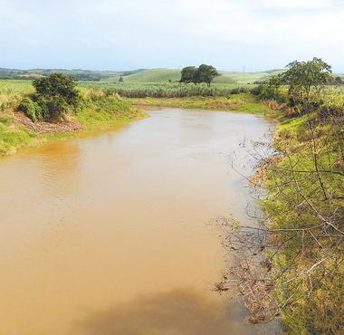 Em alguns trechos do rio ser&atilde;o recuperados at&eacute; 30 metros de margens. Foto: Bruna Oliveira/ Divulga&ccedil;&atilde;o/