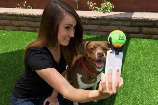 O Pooch Selfie deve ser lançado ainda esse ano pelo preço de US$ 13 (por volta de R$ 50). Foto? Divulgação