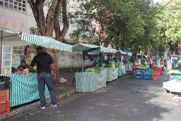  Foto: Eduardo Amorim/Centro Sabiá