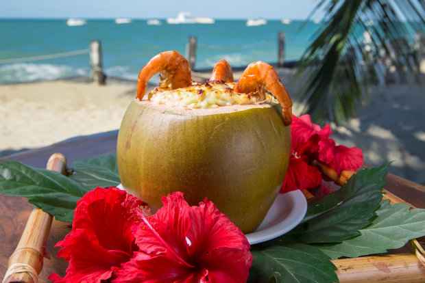 Camar&atilde;o Gilberto Freire &eacute; o carro-chefe da casa. A receita leva bob&oacute; de camar&atilde;o alternado com camadas de queijo coalho, gratinado no forno e servido no coco verde. Foto: Rafael Medeiros/Divulga&ccedil;&atilde;o/