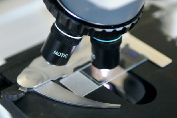 Bact&eacute;ria cont&eacute;m um gene que a torna resistente a antibi&oacute;ticos de &uacute;ltima gera&ccedil;&atilde;o, uma muta&ccedil;&atilde;o que j&aacute; tinha sido identificada por peritos chineses. Foto: AFP/Arquivos Eric Piermont/