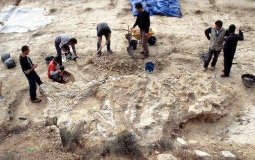 (Arquivo) Paleontólogos trabalham em sítio arqueológico, em Teruel, Espanha, no dia 25 de fevereiro de 2004
Foto: AFP XAVIER FRANCO
