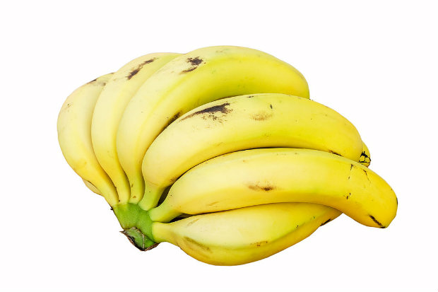 Banana nanica, ou "Cavendish",  era imune ao fungo até a década de 1990. (Foto: Augustus Binu/Wikimedia/Reprodução)/