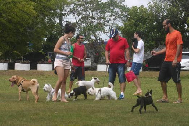 Espaço permite a entrada de cachorros. Foto: Kennel Club/Divulgação/