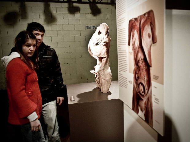 Exposição "O Fantastico Corpo Humano". Foto: Francisco Lorentz / Divulgação