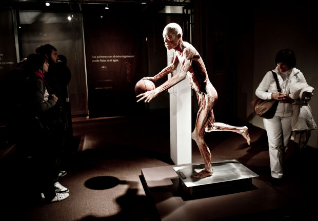 Exposição "O Fantastico Corpo Humano". Foto: Francisco Lorentz / Divulgação