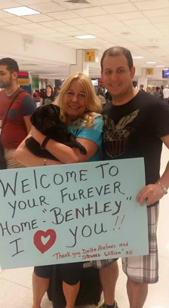 O DART transporta cachorros e gatos resgatados para suas famílias adotivas em todo os Estados Unidos. (Foto: Delta/Divulgação)/ O DART transporta cachorros e gatos resgatados para suas famílias adotivas em todo os Estados Unidos. (Foto: Delta/Divulgação)/