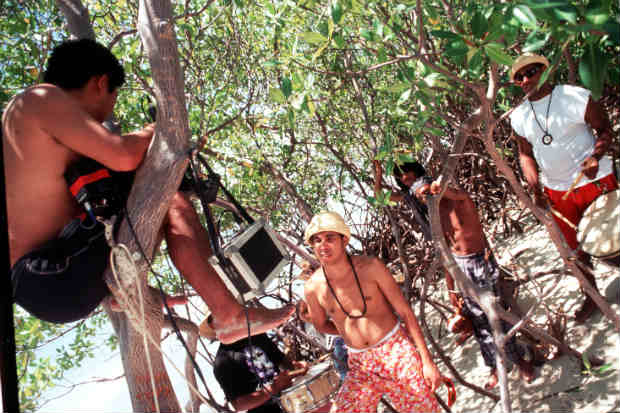 Manguezais eram cenário explorados pela Nação Zumbi em videoclipes. Foto: Fred Jordão/DP/ Manguezais eram cenário explorados pela Nação Zumbi em videoclipes. Foto: Fred Jordão/DP/