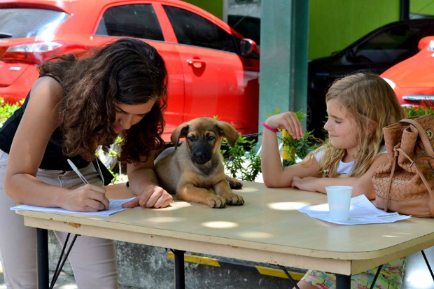 Foto: Gigi Pet Sitter/Divulgação/ Foto: Gigi Pet Sitter/Divulgação/