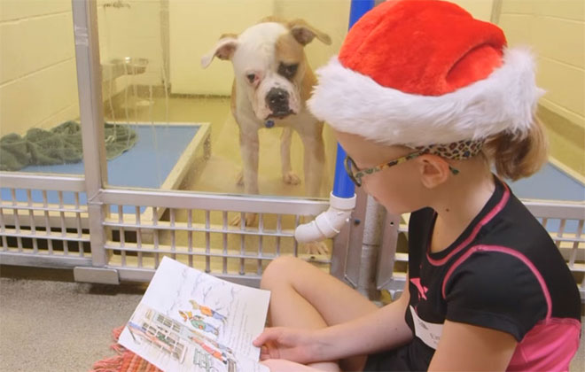 As crianças passam algumas horas lendo para os cães, enquanto os animais reconquistam a confiança nos humanos. Foto: Divulgação