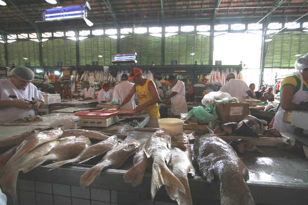 Mercado de São José está movimentado, mas segundo os vendedores de peixes a demanda é menor em relação ao ano passado. Foto: Paulo Paiva/DP/ Mercado de São José está movimentado, mas segundo os vendedores de peixes a demanda é menor em relação ao ano passado. Foto: Paulo Paiva/DP/