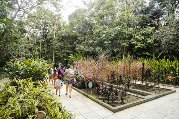 Conv&ecirc;nio com a Funda&ccedil;&atilde;o CDL Recife vai incorporar uma &aacute;rea de 26,4 hectares ao parque. Foto: Andr&eacute;a Rego Barros/PCR/Divulga&ccedil;&atilde;o/