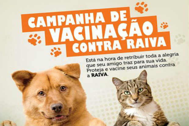 Segundo a Secretaria Estadual de Saúde, existem mais de 100 mil animais no Agreste pernambucano. Foto: Divulgação/ Segundo a Secretaria Estadual de Saúde, existem mais de 100 mil animais no Agreste pernambucano. Foto: Divulgação/