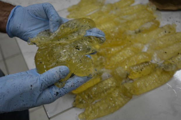 Droga estava escondida em duas calças jeans e acondicionada em 45 preservativos. Foto: PF/ Divulgação/ Droga estava escondida em duas calças jeans e acondicionada em 45 preservativos. Foto: PF/ Divulgação/