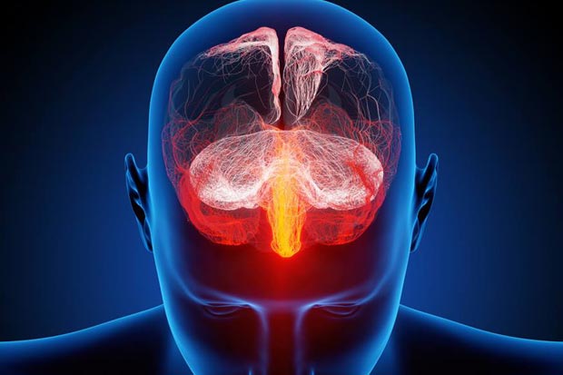 Estudos recentes na área já sugerem que ainda há alguma atividade cerebral e fluxo sanguíneo após a morte Foto: Reprodução/Internet/Estudos recentes na área já sugerem que ainda há alguma atividade cerebral e fluxo sanguíneo após a morte Foto: Reprodução/Internet Estudos recentes na área já sugerem que ainda há alguma atividade cerebral e fluxo sanguíneo após a morte Foto: Reprodução/Internet/Estudos recentes na área já sugerem que ainda há alguma atividade cerebral e fluxo sanguíneo após a morte Foto: Reprodução/Internet