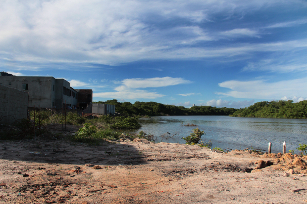 No bairro do Jiquiá, Zona Oeste da cidade, manguezal está sendo aterrado para construções irregulares. Foto: Brenda Alcântara/Esp.DP.