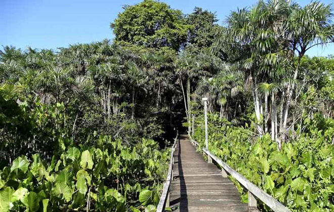 Foto: Eduardo Pantoja/Reprodução